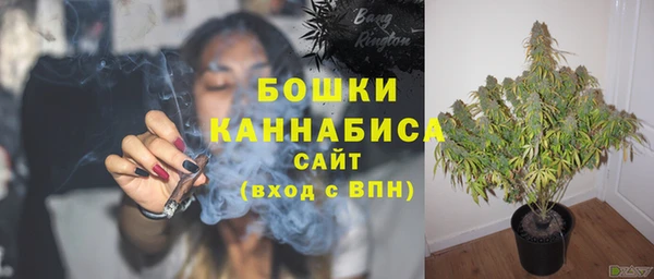 дурь Михайловск