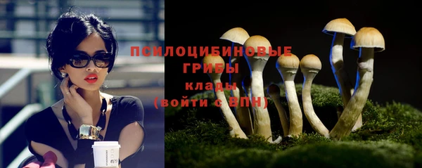 дурь Михайловск