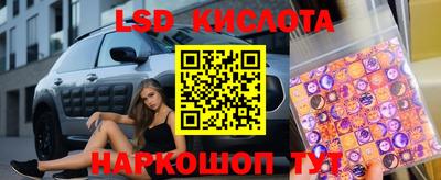 СК Канаш