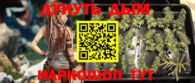 apvp Кандалакша
