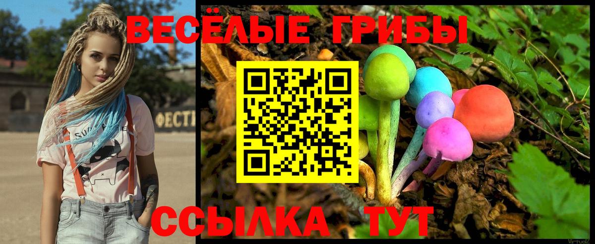 Галлюциногенные грибы Psilocybe Чита