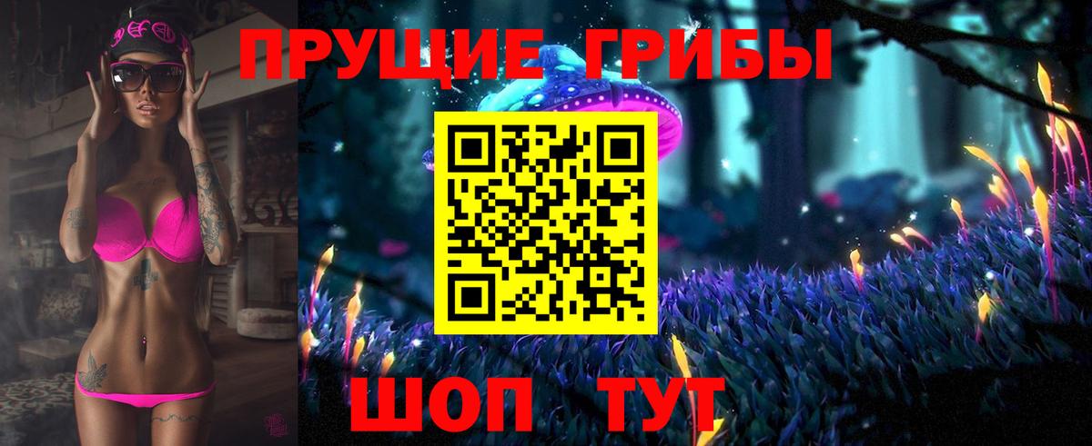 Чита  Галлюциногенные грибы прущие грибы  Вход с VPN  Псилоцибиновые грибы ЛСД 